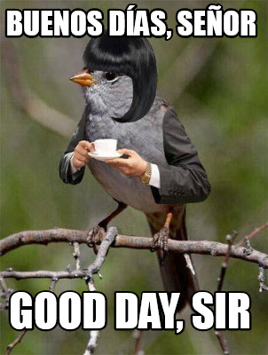 Meme Creator Funny Buenos Dias Senor Good Day Sir Meme Generator At Memecreator Org