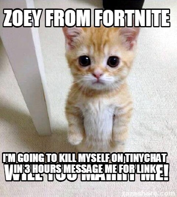 meme creator funny zoey from fortnite will you marry me i m going to kill myself on tinychat in 3 meme generator at memecreator org - fortnite kill generator