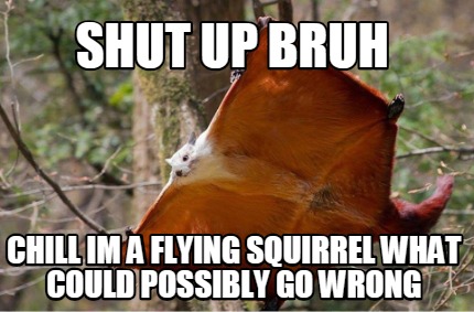 shut-up-bruh-chill-im-a-flying-squirrel-what-could-possibly-go-wrong