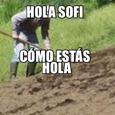 Meme Creator - Funny Hola Sofi Hola Cómo estás Meme Generator at  !