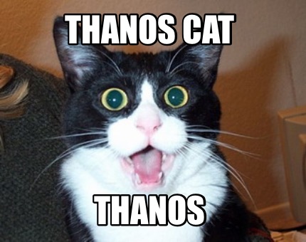thanos-cat-thanos