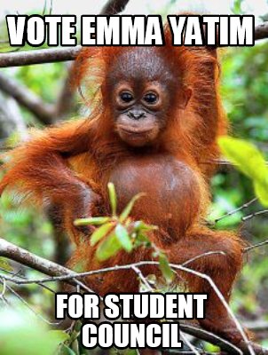 Absurdly Powerful Student Council - TV Tropes