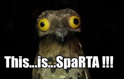 Meme This Sparta Funny Bird Memes Stock Photo 1425107042