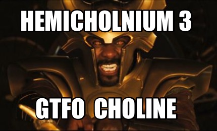 hemicholnium-3-gtfo-choline