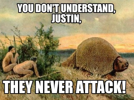 you-dont-understand-justin-they-never-attack