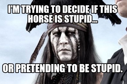 im-trying-to-decide-if-this-horse-is-stupid...-or-pretending-to-be-stupid