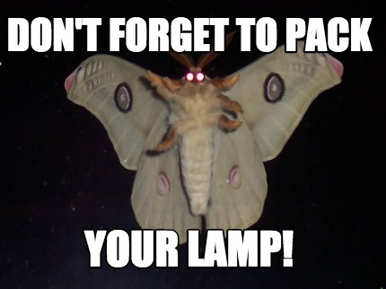 dont-forget-to-pack-your-lamp