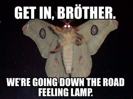 get-in-brther.-were-going-down-the-road-feeling-lamp