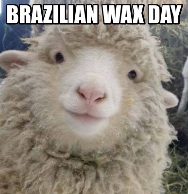 brazilian-wax-day