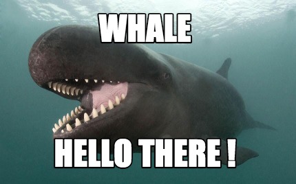 whale-hello-there-