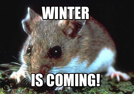 winter-is-coming729