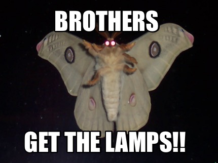 brothers-get-the-lamps