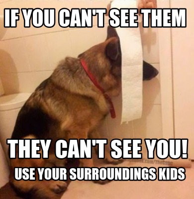 Meme Creator Funny If You Can T See Them They Can T See You Use Your Surroundings Kids Meme Generator At Memecreator Org