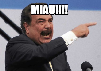 miau08