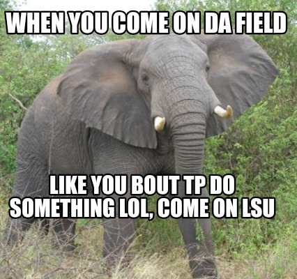 Texans Fans Right Now