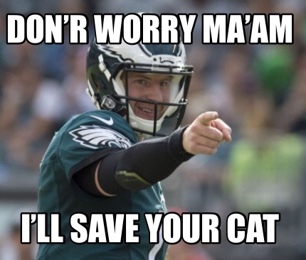 donr-worry-maam-ill-save-your-cat