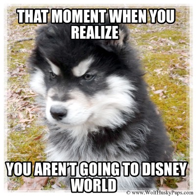 that-moment-when-you-realize-you-arent-going-to-disney-world