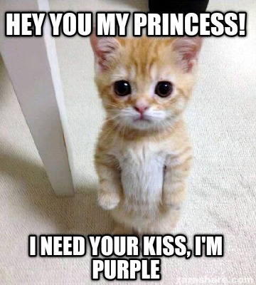 Meme Creator Funny Hey You My Princess I Need Your Kiss I M Purple Meme Generator At Memecreator Org Meme Creator Funny Hey You My Princess I Need Your Kiss I M Purple Meme Generator At Memecreator Org