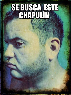 se-busca-este-chapuln