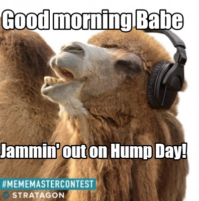 good-morning-babe-jammin-out-on-hump-day