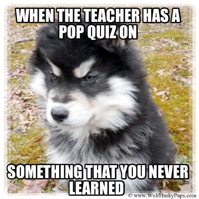 when-the-teacher-has-a-pop-quiz-on-something-that-you-never-learned
