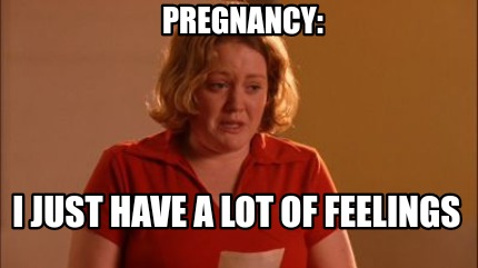 pregnancy-i-just-have-a-lot-of-feelings3