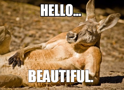 Meme Creator - Funny Hello... beautiful. Meme Generator at ! Meme Creator - Funny Hello... beautiful. Meme Generator at !
