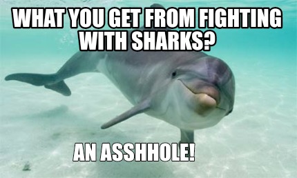 what-you-get-from-fighting-with-sharks-an-asshhole