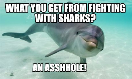 what-you-get-from-fighting-with-sharks-an-asshhole