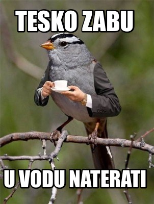 tesko-zabu-u-vodu-naterati