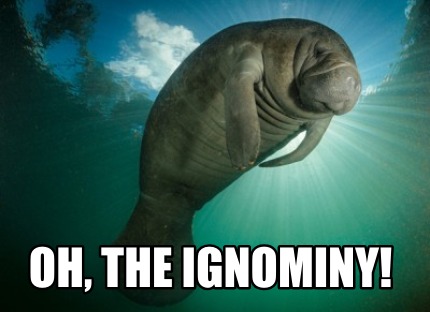 oh-the-ignominy