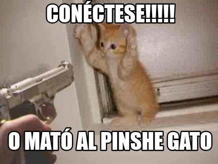 conctese-o-mat-al-pinshe-gato