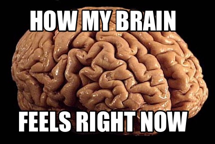 how-my-brain-feels-right-now