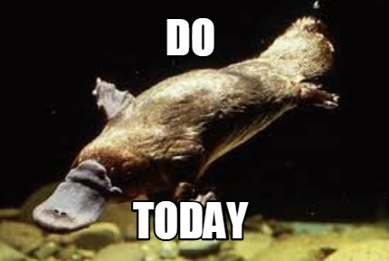 do-today