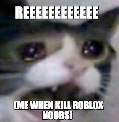 Meme Creator Funny Reeeeeeeeeeee Me When Kill Roblox Noobs Meme Generator At Memecreator Org - kill noobs roblox