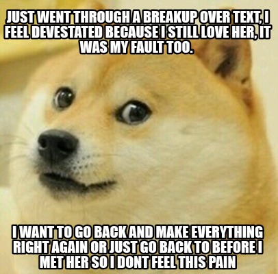 Meme Creator Funny Just Went Through A Breakup Over Text I Feel Devestated Because I Still Love He Meme Generator At Memecreator Org Meme Creator Funny Just Went Through A Breakup Over Text I Feel Devestated Because I Still Love He Meme Generator At Memecreator Org