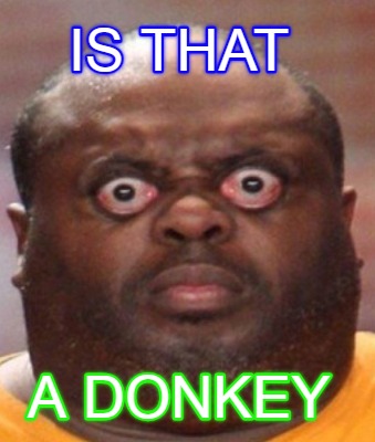 is-that-a-donkey
