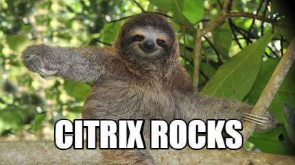 citrix-rocks