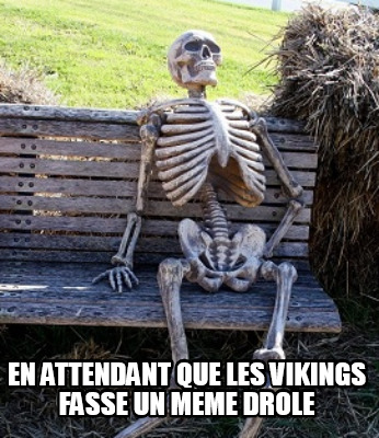 en-attendant-que-les-vikings-fasse-un-meme-drole