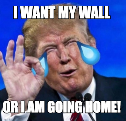 Meme Creator Funny I Want My Wall Or I Am Going Home Meme Generator At Memecreator Org