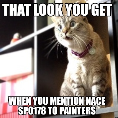 that-look-you-get-when-you-mention-nace-sp0178-to-painters