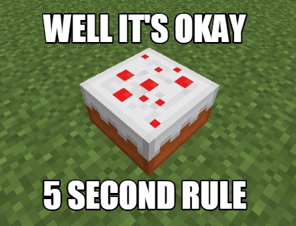 well-its-okay-5-second-rule