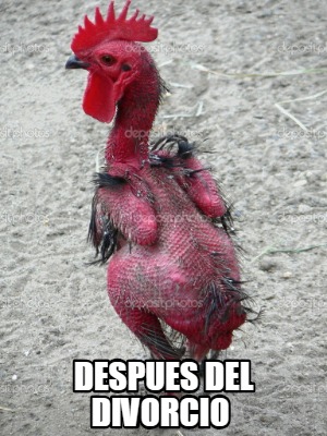 despues-del-divorcio