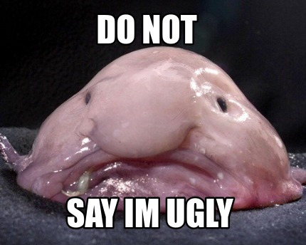 do-not-say-im-ugly