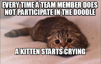 every-time-a-team-member-does-not-participate-in-the-doodle-a-kitten-starts-cryi
