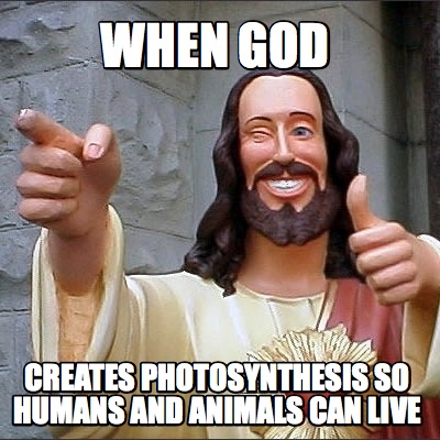 Meme Creator - Funny when god creates photosynthesis so humans and animals can live Meme Generator at ! Meme Creator - Funny when god creates photosynthesis so humans and animals can live Meme Generator at !
