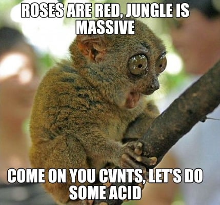 roses-are-red-jungle-is-massive-come-on-you-cvnts-lets-do-some-acid
