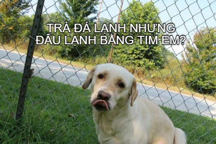 tr-lnh-nhng-u-lnh-bng-tim-em