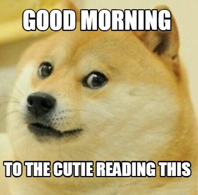 cute animal good morning memes