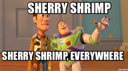 sherry-shrimp-sherry-shrimp-everywhere
